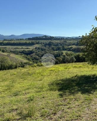 TER. AGRICOLO A MAGLIANO SABINA