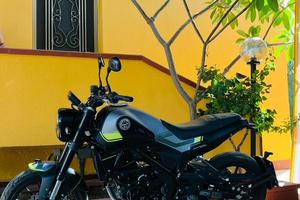 2021 Benelli Leoncino 250