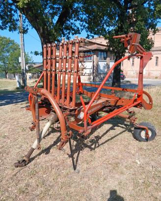 Ranghinatore Kuhn 