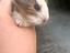 Immagine 2