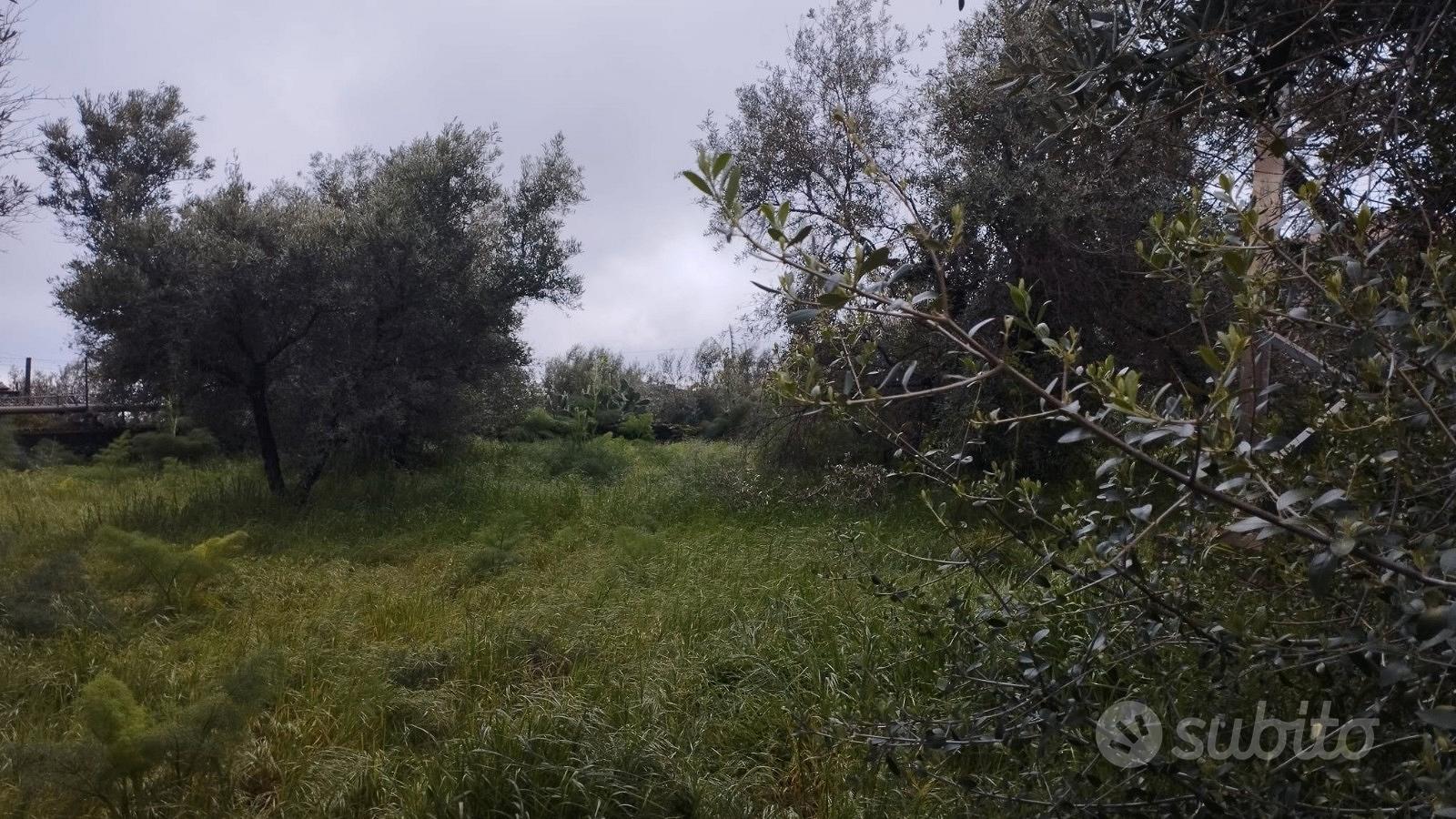 Terreno a San G.Galermo in via della Misericordia - Vista 5