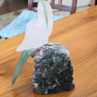 Pappagallo minerale quarzo