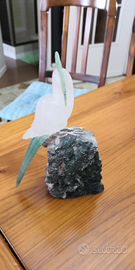 Pappagallo minerale quarzo