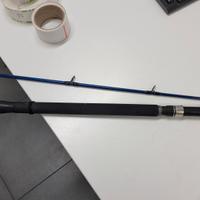 canna da pesca shore max