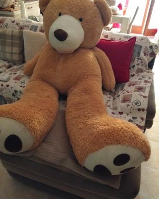 orso peluche gigante 