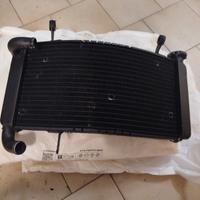 radiatore acqua ducati 