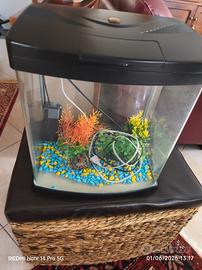 Acquario 