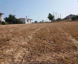 423 Terreno Atri