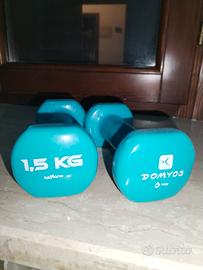 pesi da 1.5 kg