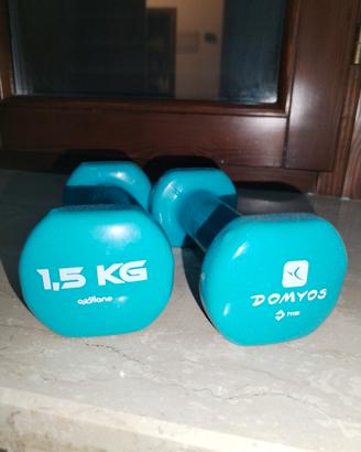 pesi da 1.5 kg