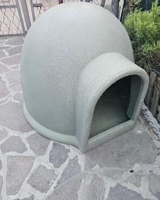 cuccia taglia media