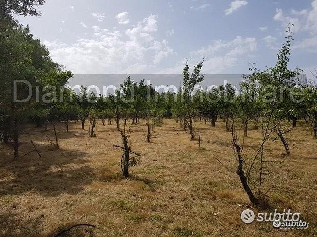 Terreno agricolo pianeggiante a Piedimonte Etneo - Vista 3
