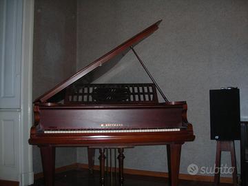 pianoforte a mezza coda