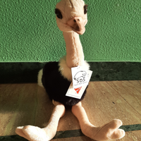 Peluche struzzo nuovo