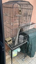 Gabbia per uccelli di piccola d media taglia