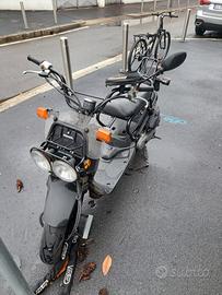 Honda Zoomer - 2005