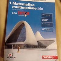 1 Matematica multimediale.blu.