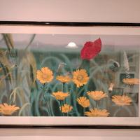 Quadro serigrafia F. Aloisi