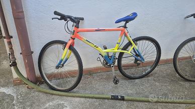 Bici da corsa o montainbike