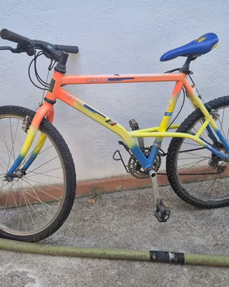 Bici da corsa o montainbike