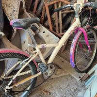 Bicicletta twin bimba