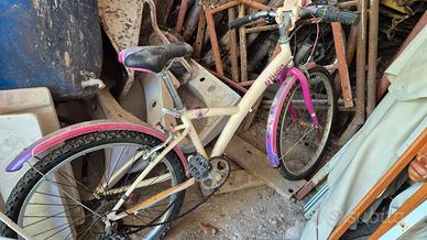 Bicicletta twin bimba