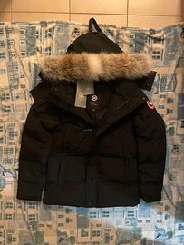 canada goose