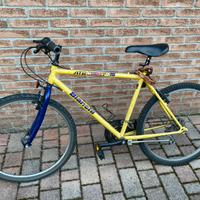 Bianchi bicicletta mountain bike atb husky 218