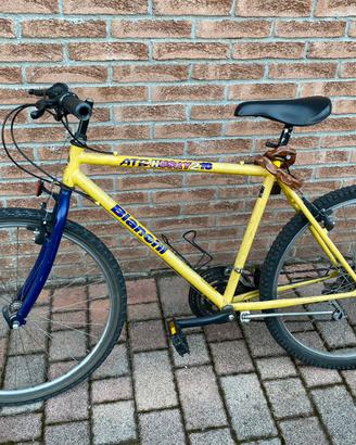 Bianchi bicicletta mountain bike atb husky 218