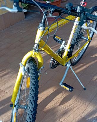 Mountain bike 
