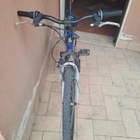 bici 29 