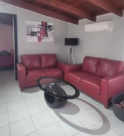 Due divani in in SEMI-PELLE