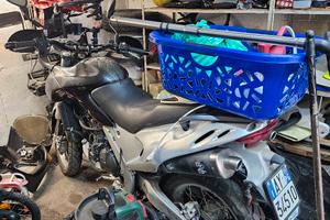 aprilia pegaso 650 anno 2000