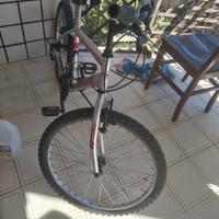 bicicletta frejus 