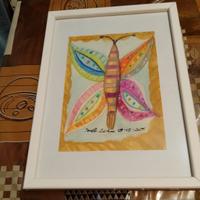 Farfalla in cornice con ali aperte