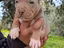 Immagine 3