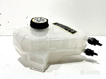 VASCHETTA LIQUIDO RADIATORE FORD Fiesta 6° Serie