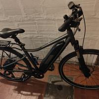 Bici a pedalata assistita