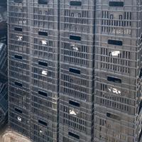 Cassette frutta e verdura