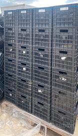 Cassette frutta e verdura