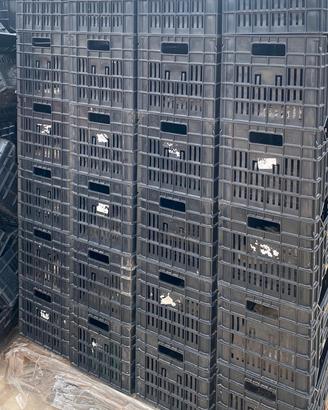 Cassette frutta e verdura