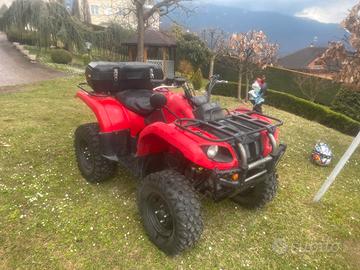 Quad Yamaha grizzly 660 4x4