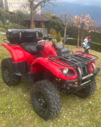 Quad Yamaha grizzly 660 4x4