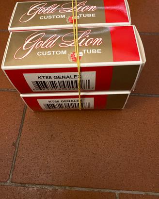 KT88 Gold Lion