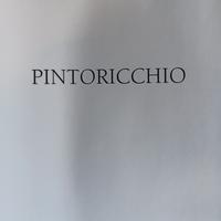 Libro d'arte Pinturicchio