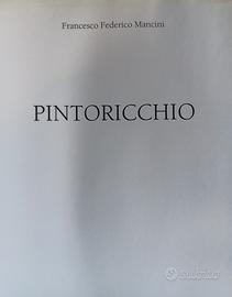 Libro d'arte Pinturicchio