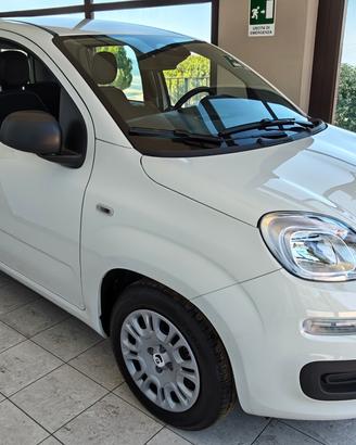 Fiat Panda 1.0 Hybrid