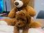 Immagine 1