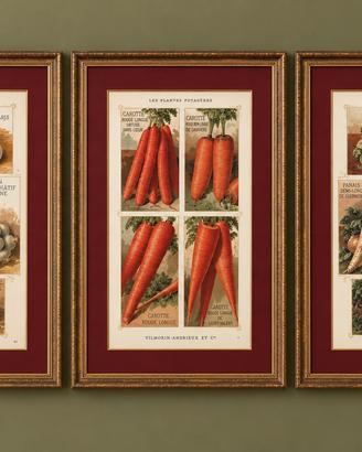 Tris antiche stampe botaniche 1883 originali