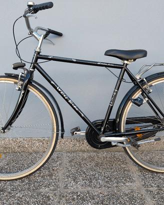 Bicicletta da uomo classica